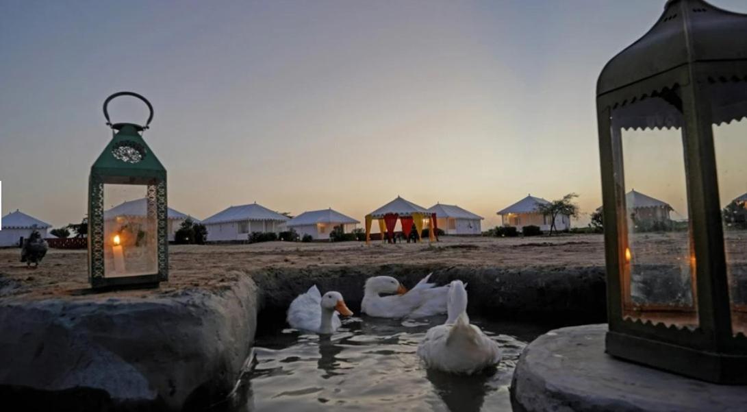 Sunny Desert Camp Kuri Экстерьер фото