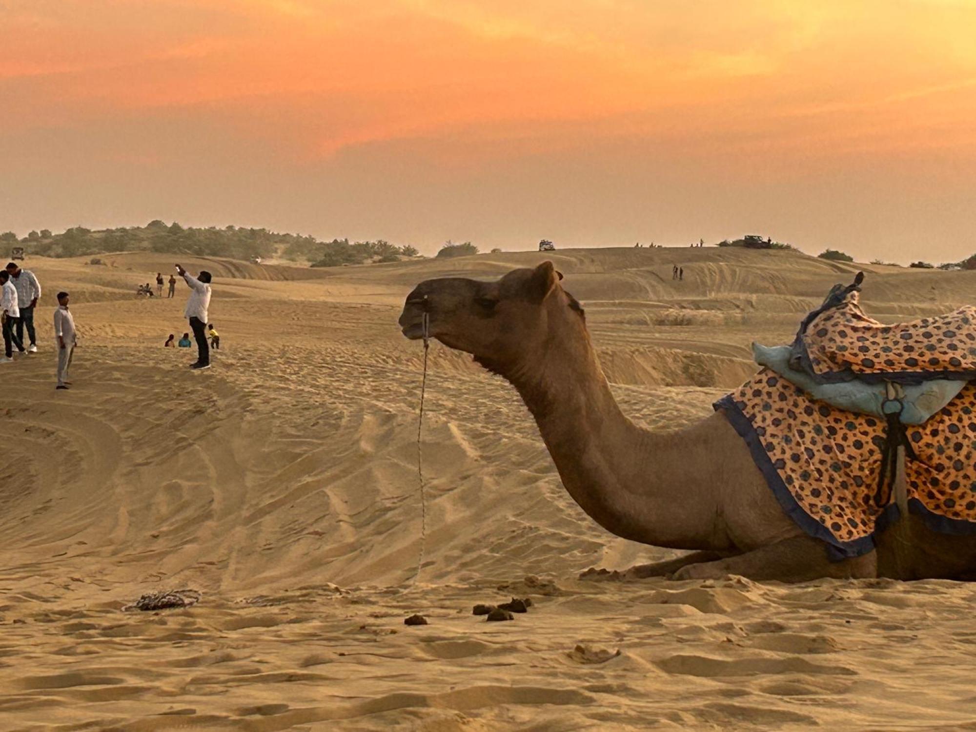 Sunny Desert Camp Kuri Экстерьер фото