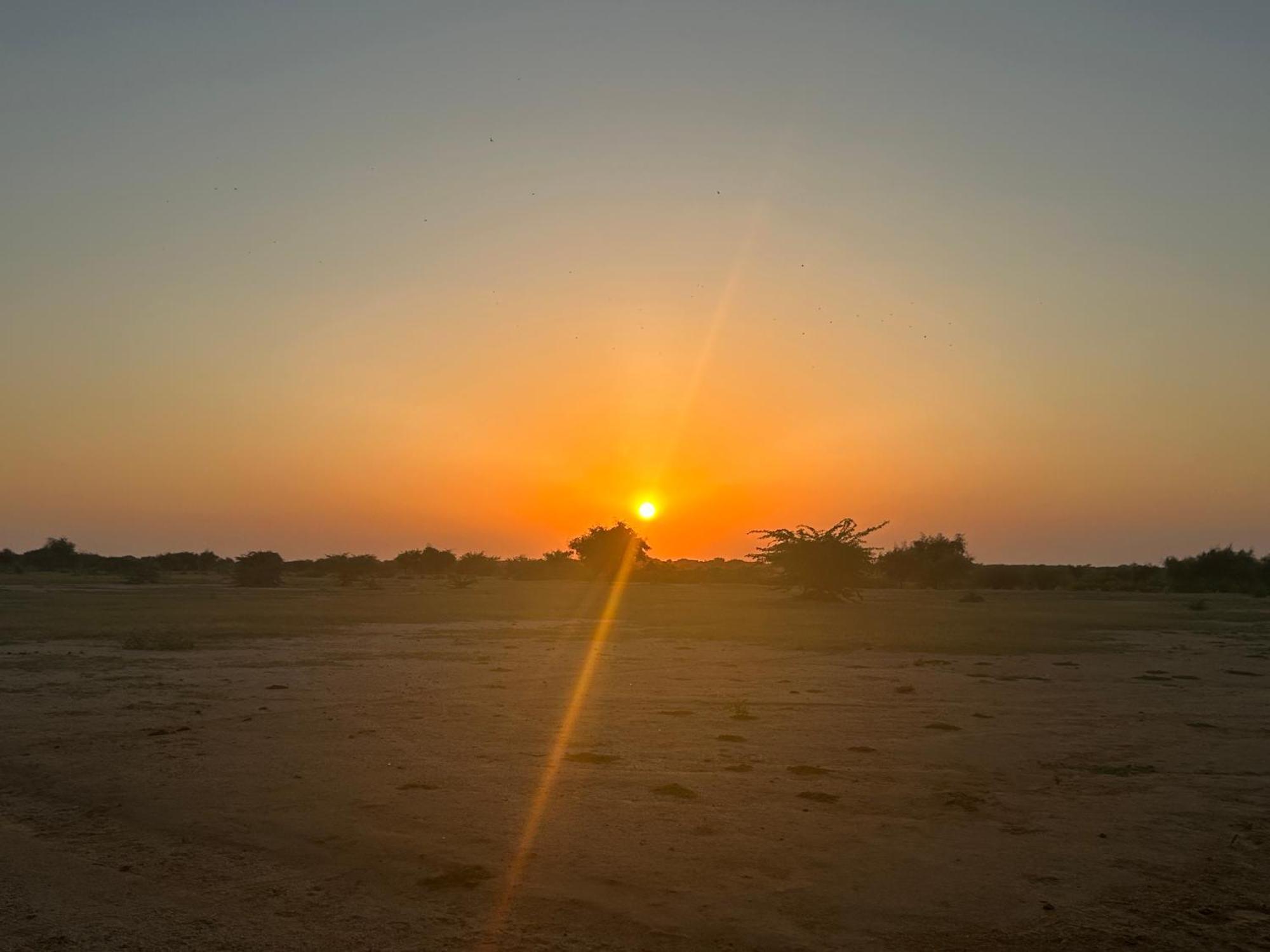 Sunny Desert Camp Kuri Экстерьер фото